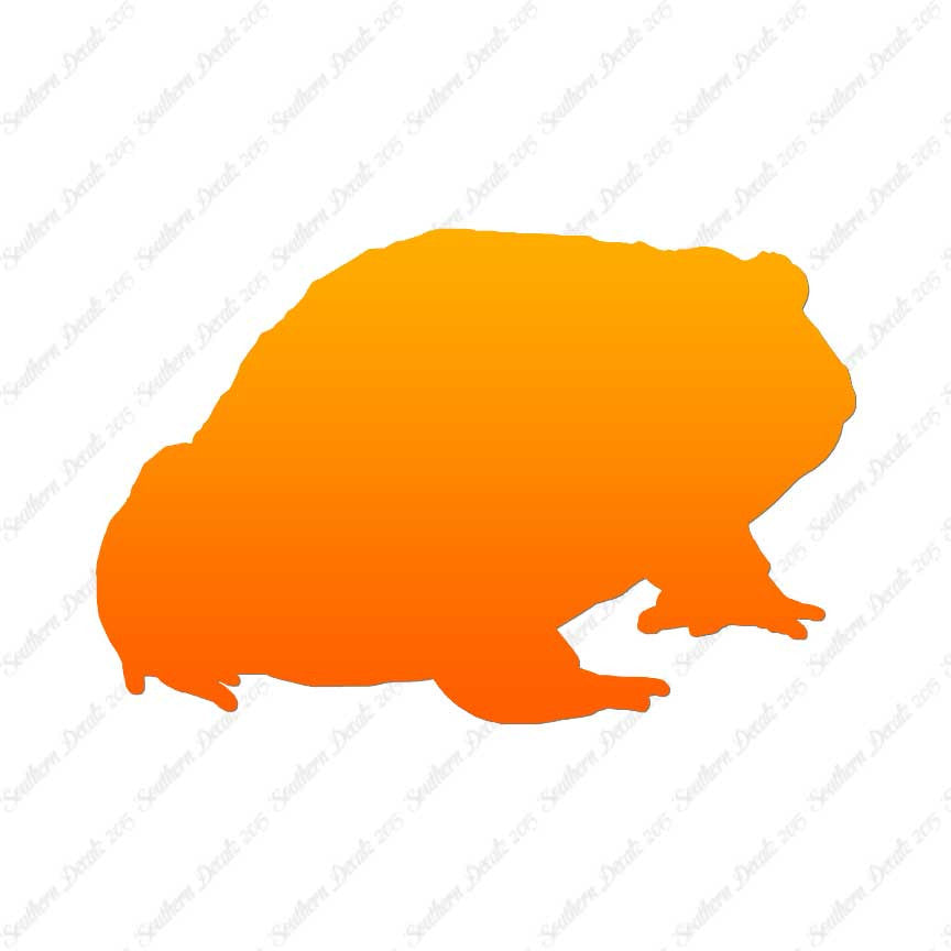 Bullfrog Toad