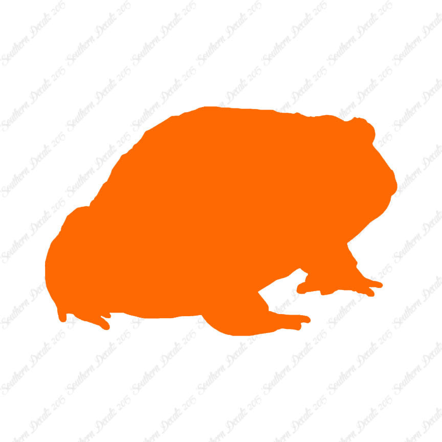 Bullfrog Toad