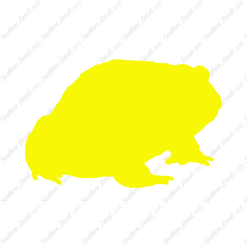 Bullfrog Toad