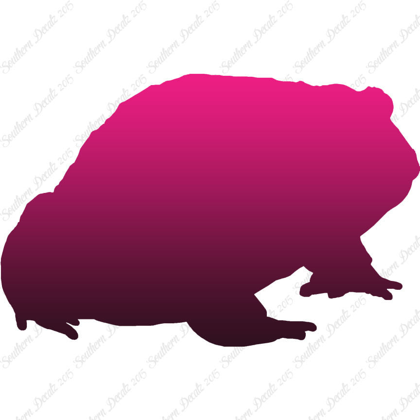 Bullfrog Toad