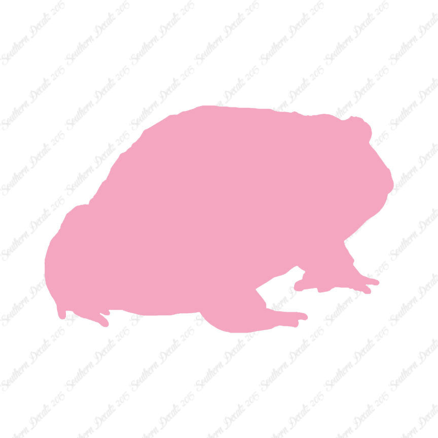 Bullfrog Toad