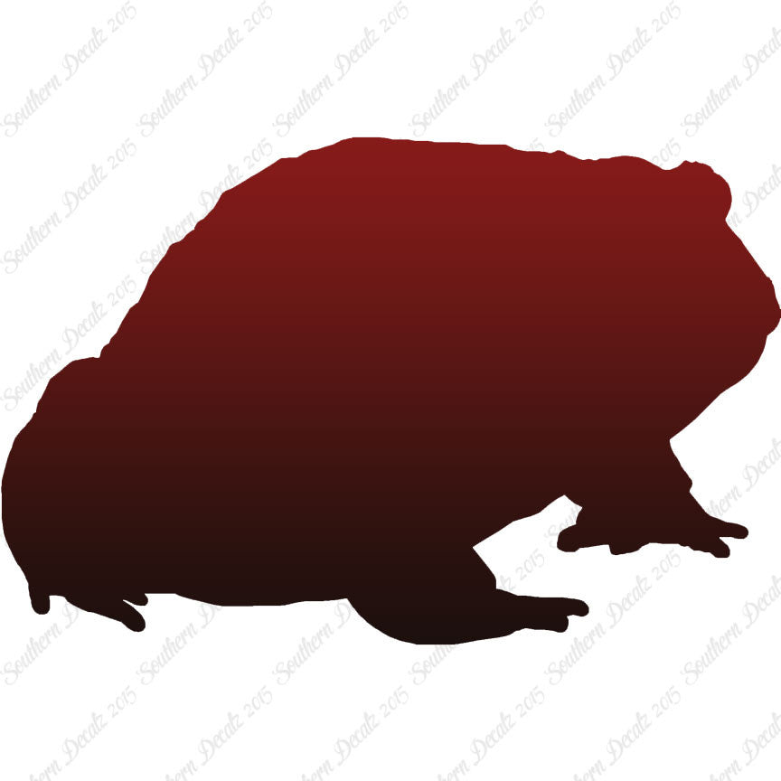 Bullfrog Toad