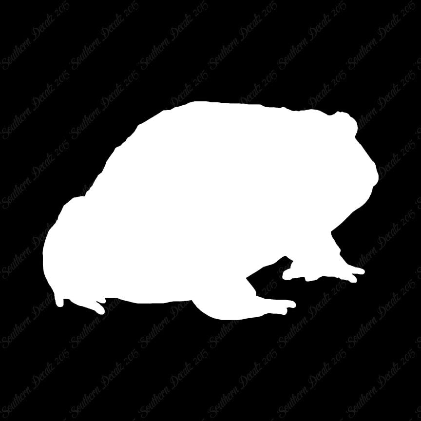 Bullfrog Toad