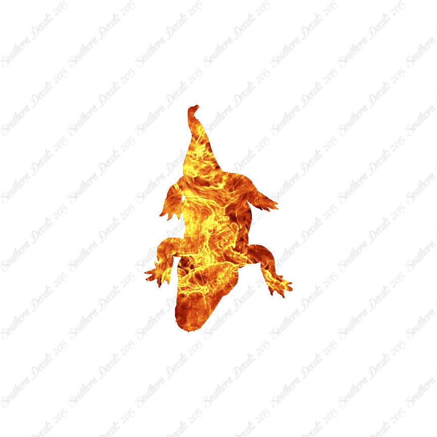 Crocodile Alligator Reptile