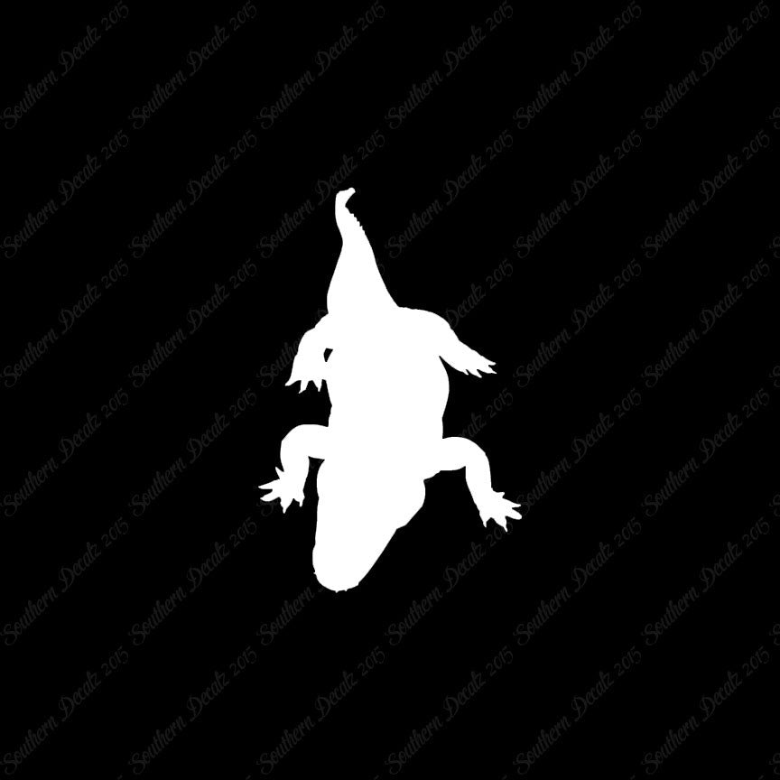 Crocodile Alligator Reptile