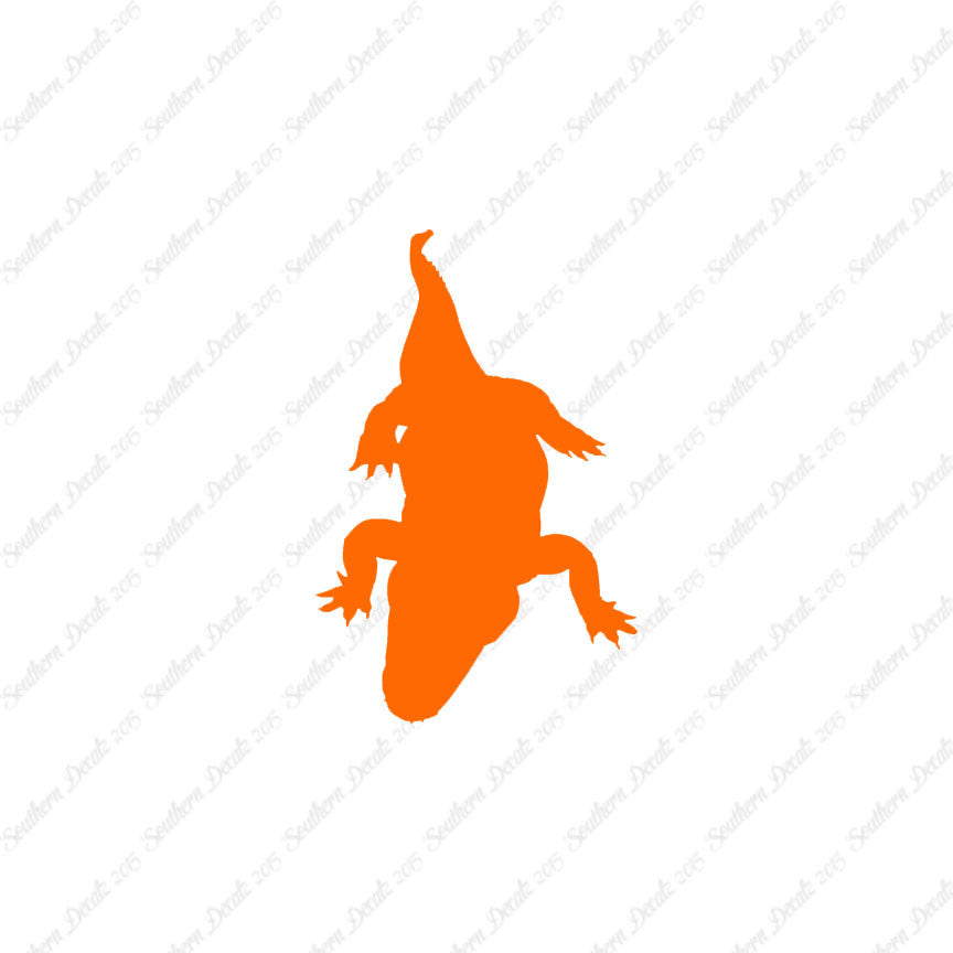 Crocodile Alligator Reptile