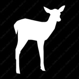 Fawn Doe Deer