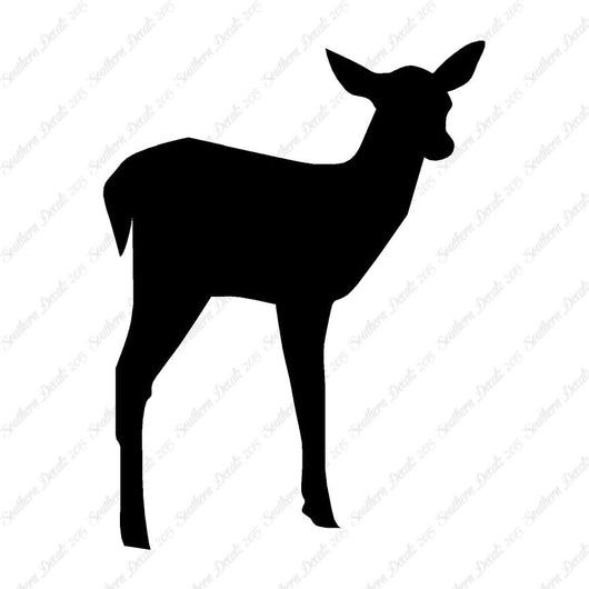 Fawn Doe Deer