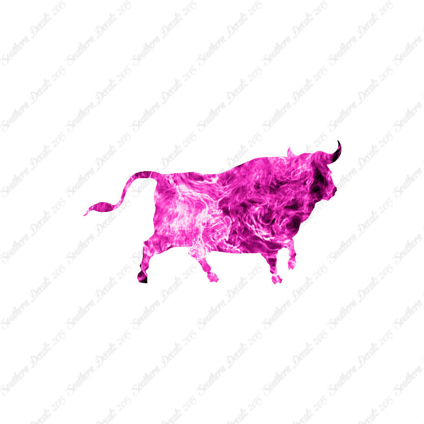 Bull Angus Cow