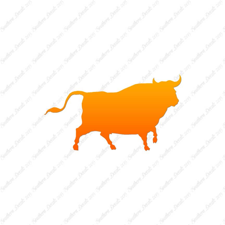 Bull Angus Cow