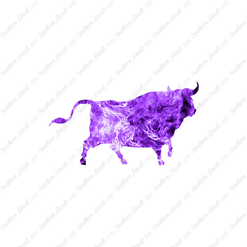 Bull Angus Cow
