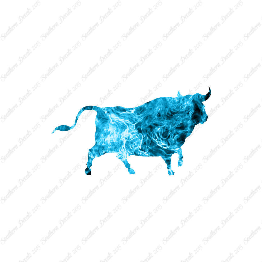 Bull Angus Cow