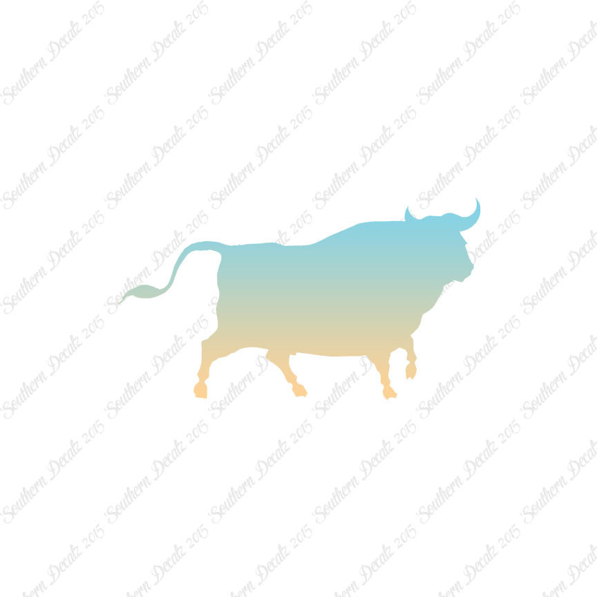 Bull Angus Cow