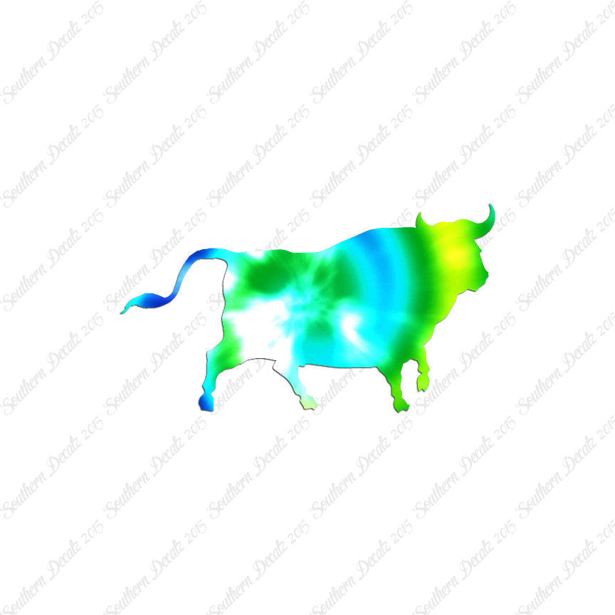 Bull Angus Cow