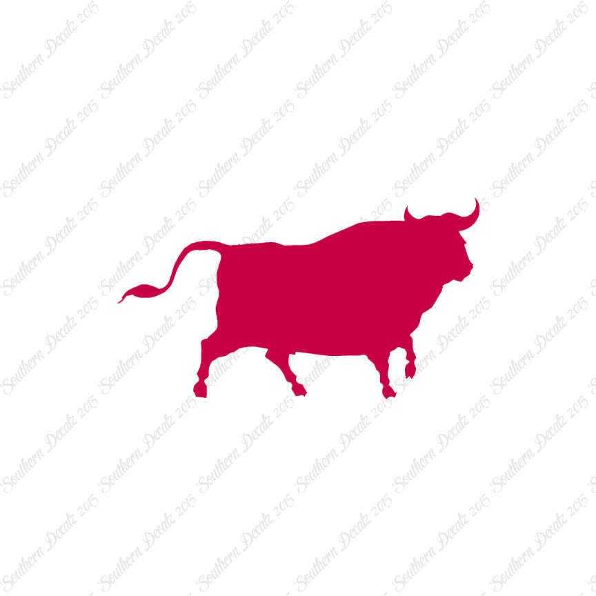 Bull Angus Cow