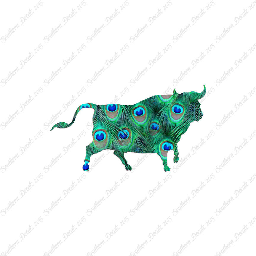 Bull Angus Cow