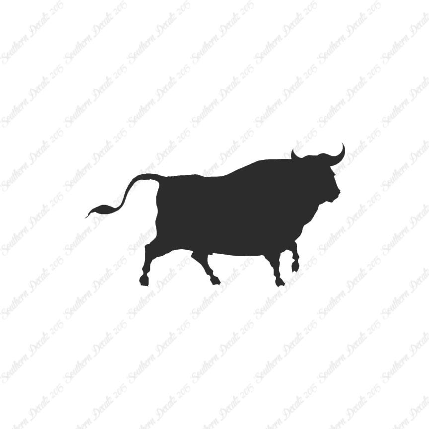 Bull Angus Cow