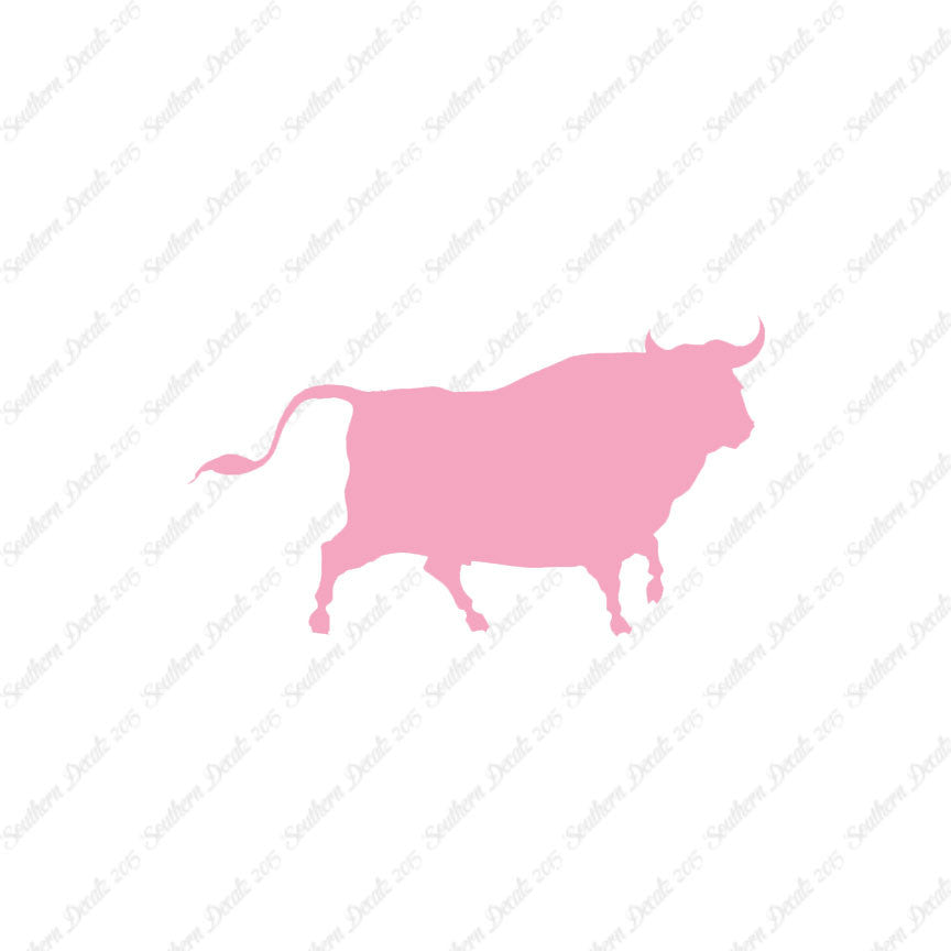 Bull Angus Cow