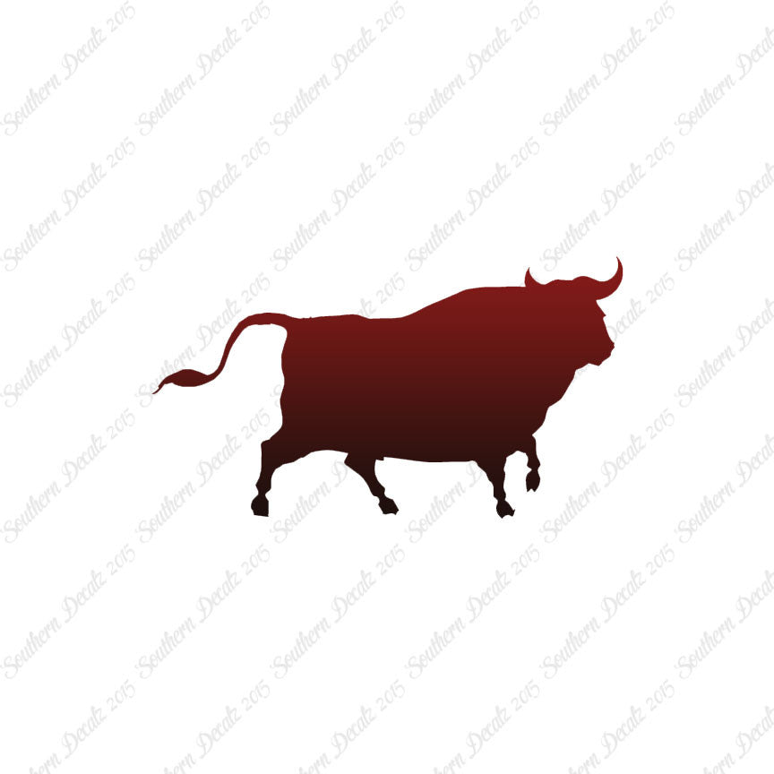 Bull Angus Cow