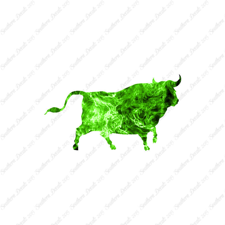 Bull Angus Cow