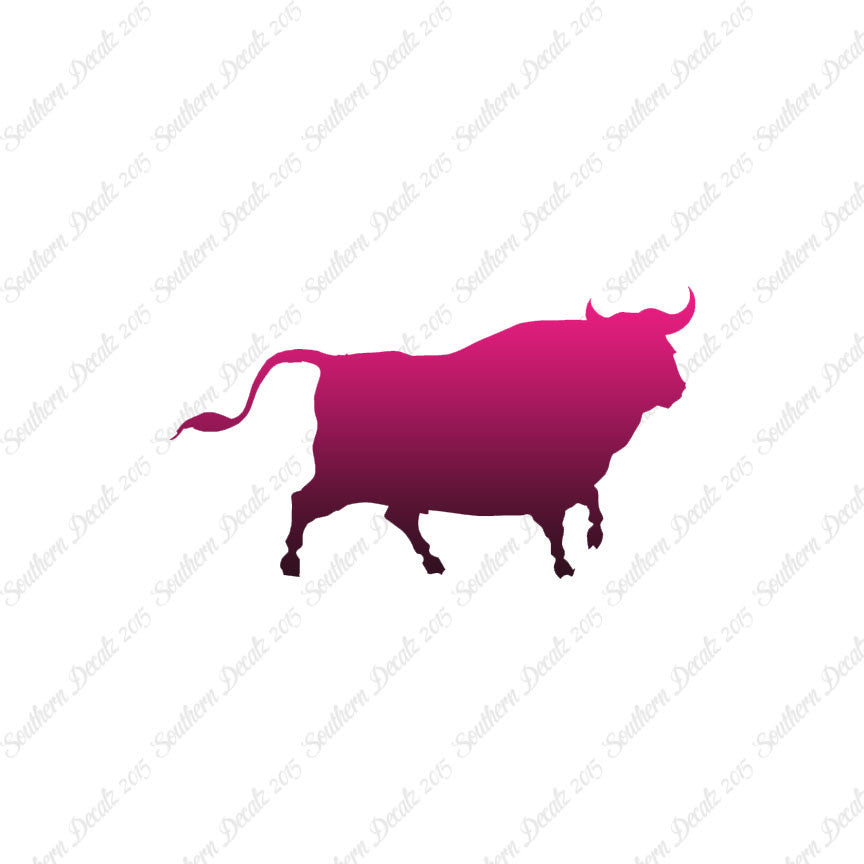 Bull Angus Cow