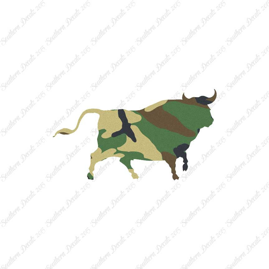 Bull Angus Cow
