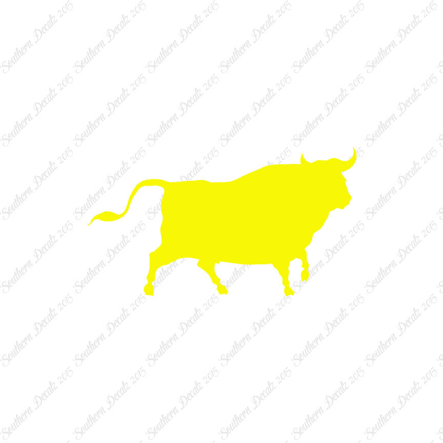 Bull Angus Cow