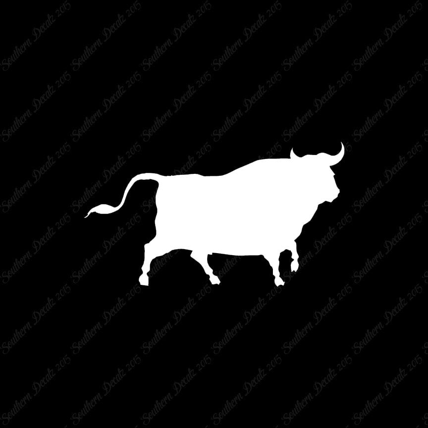 Bull Angus Cow