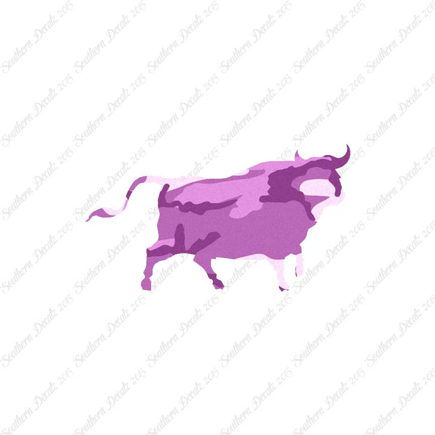 Bull Angus Cow