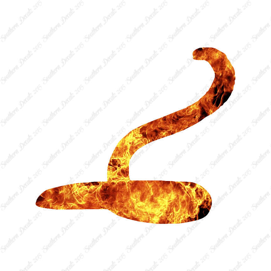 Snake Cobra Asp