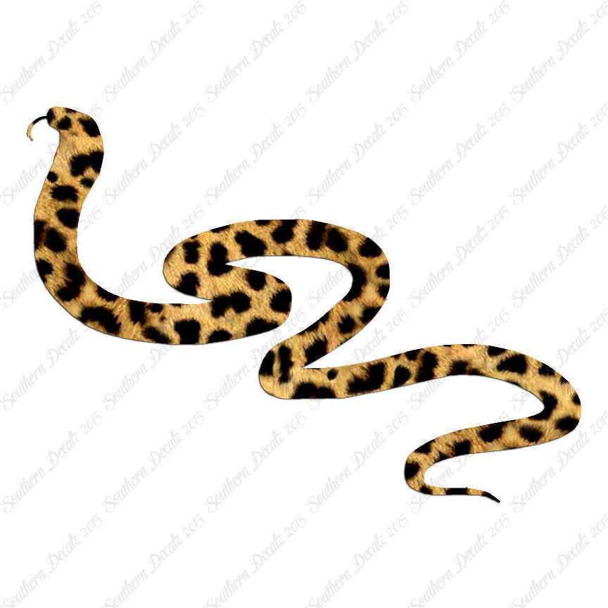 Viper Snake Asp