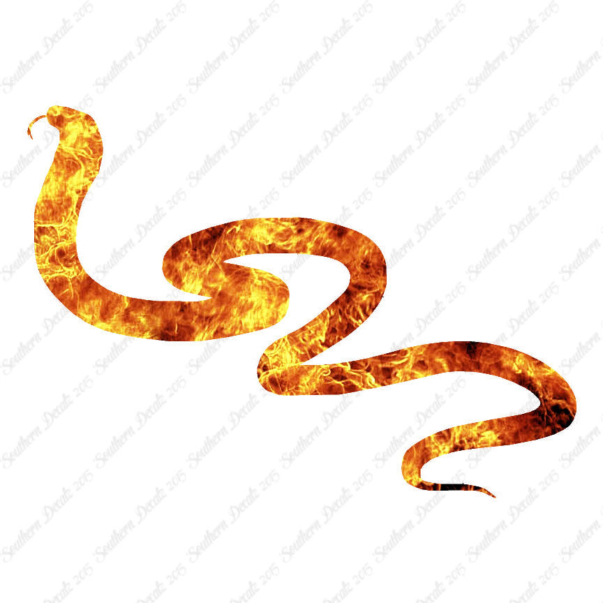 Viper Snake Asp