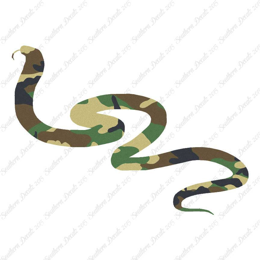 Viper Snake Asp
