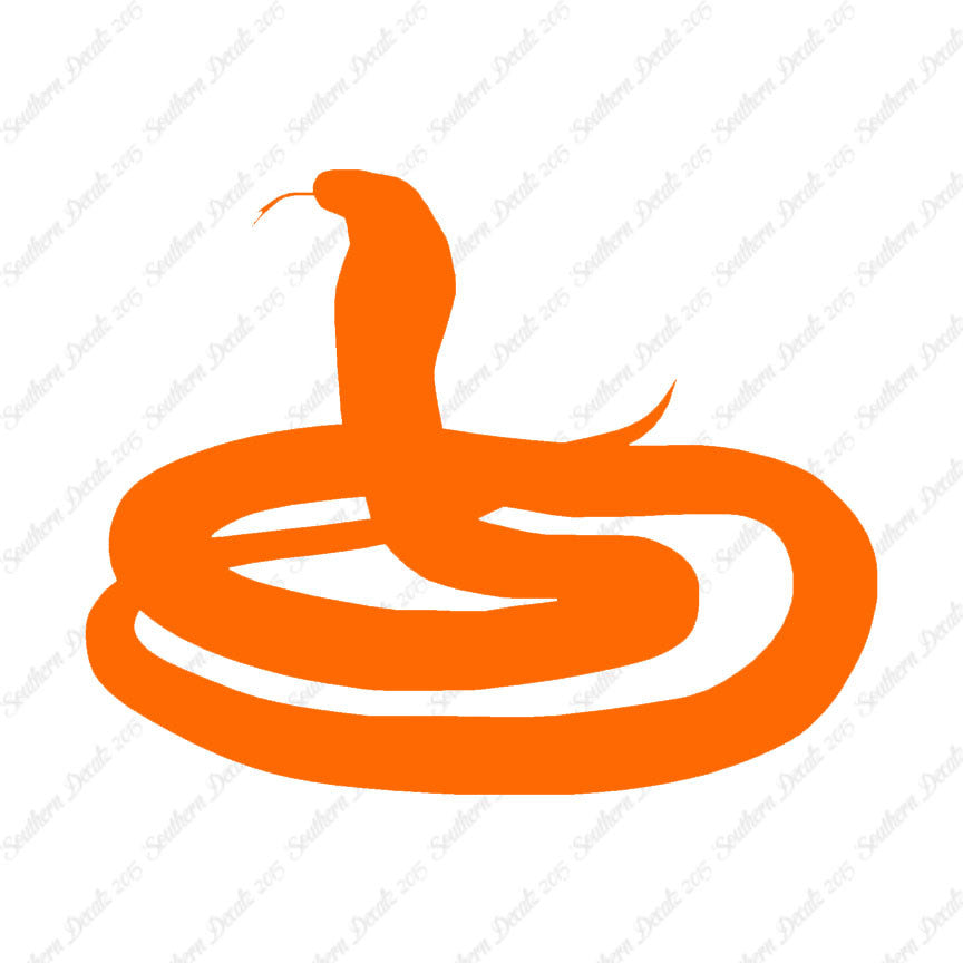 Rattlesnake Snake Viper