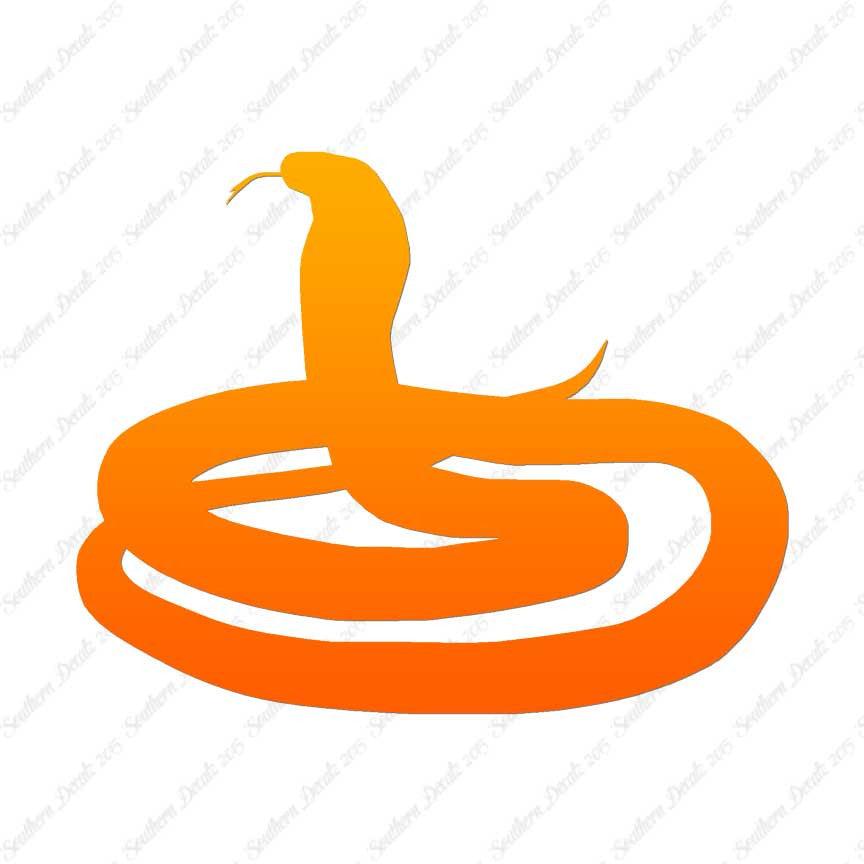 Rattlesnake Snake Viper