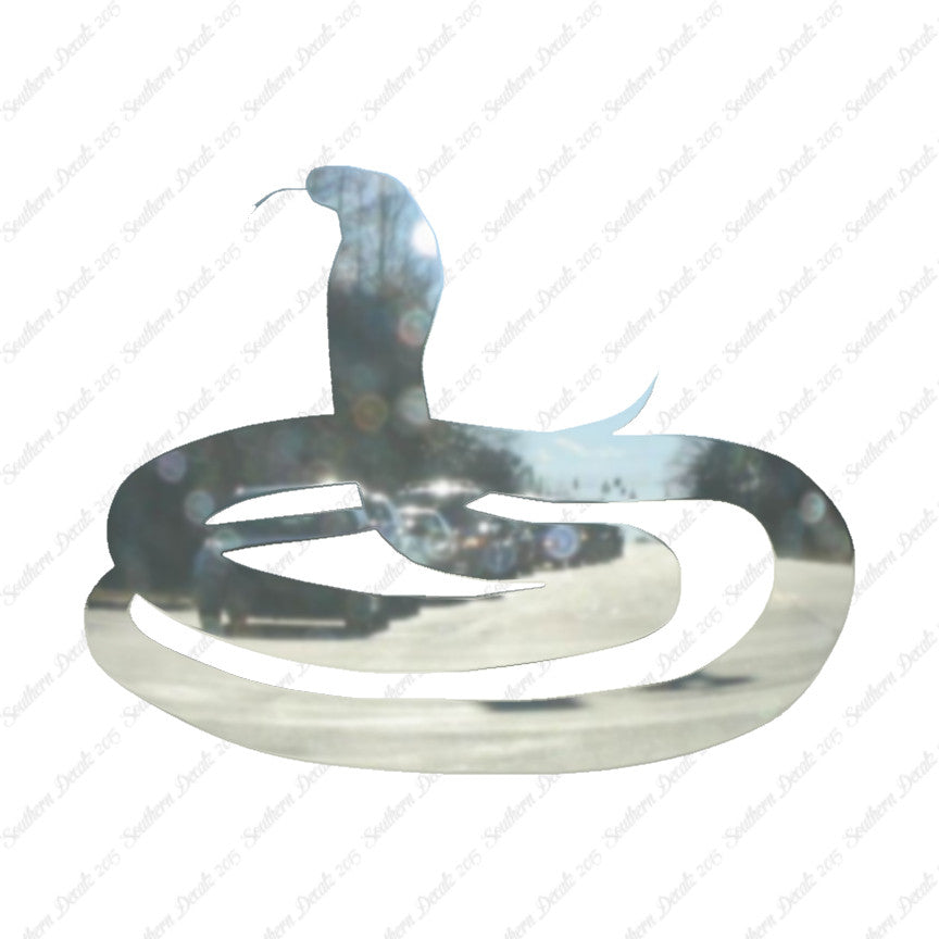 Rattlesnake Snake Viper
