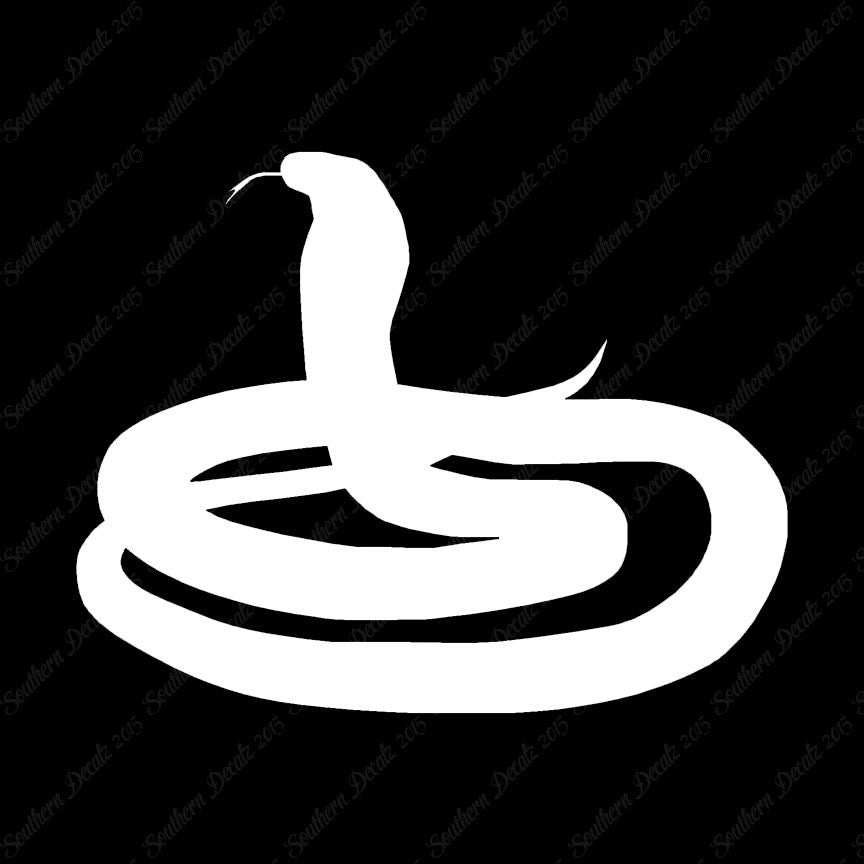 Rattlesnake Snake Viper