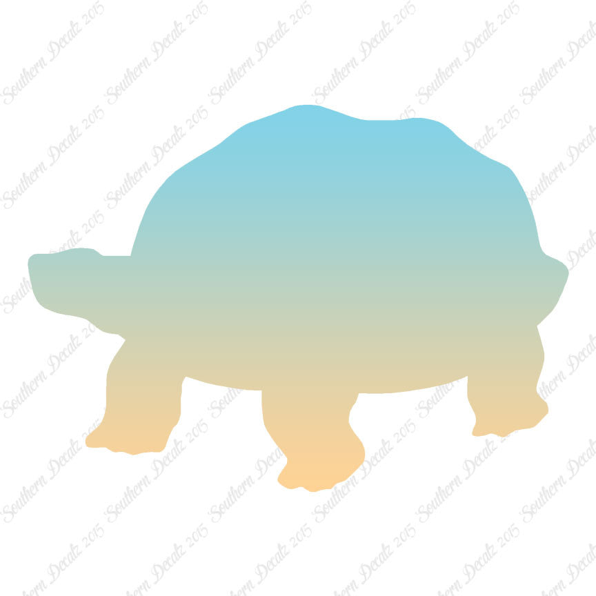 Tortoise Turtle