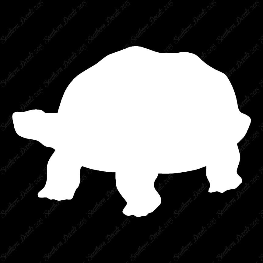 Tortoise Turtle