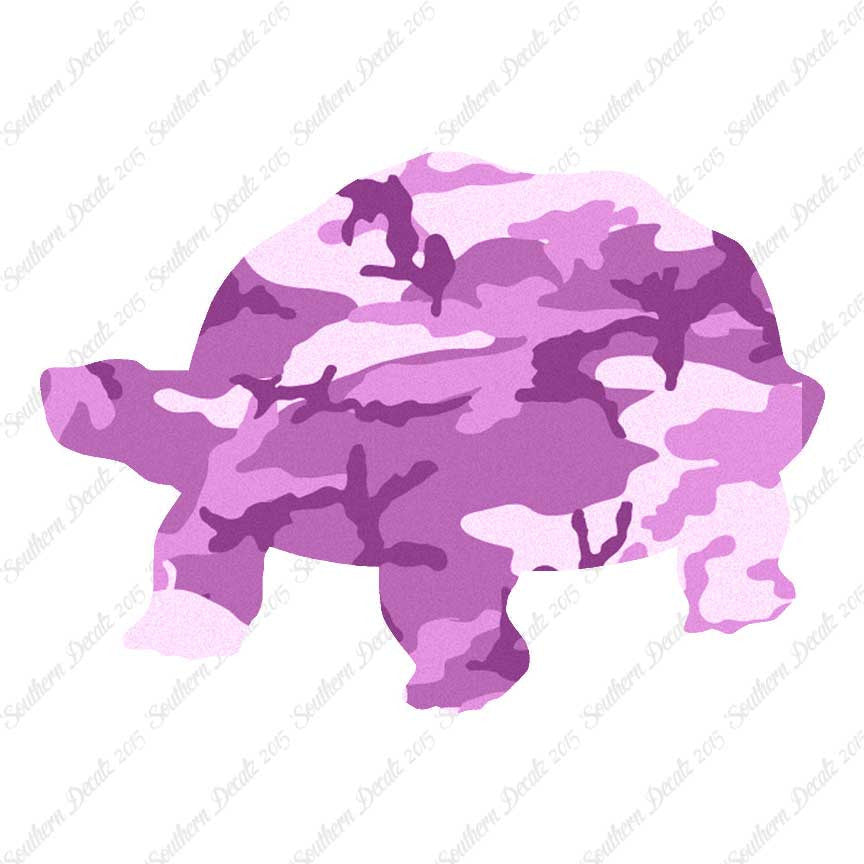 Tortoise Turtle