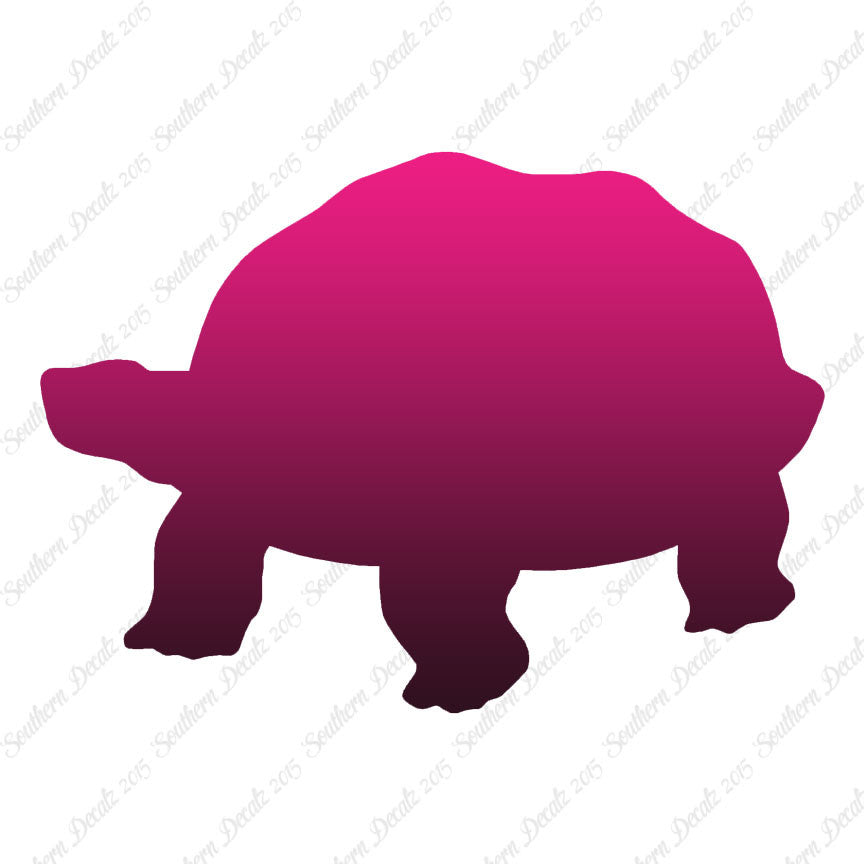 Tortoise Turtle