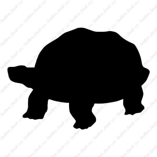 Tortoise Turtle