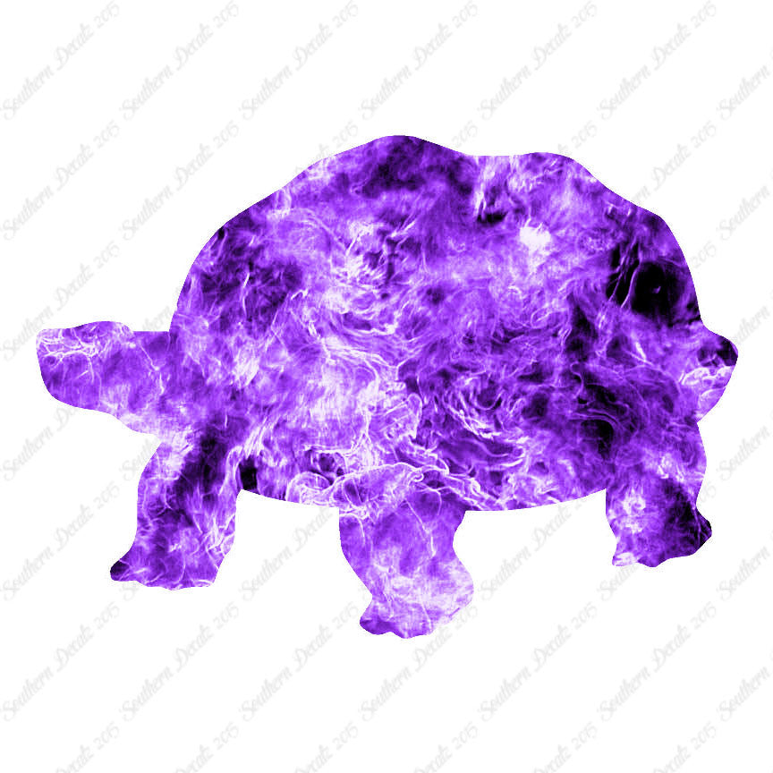 Tortoise Turtle