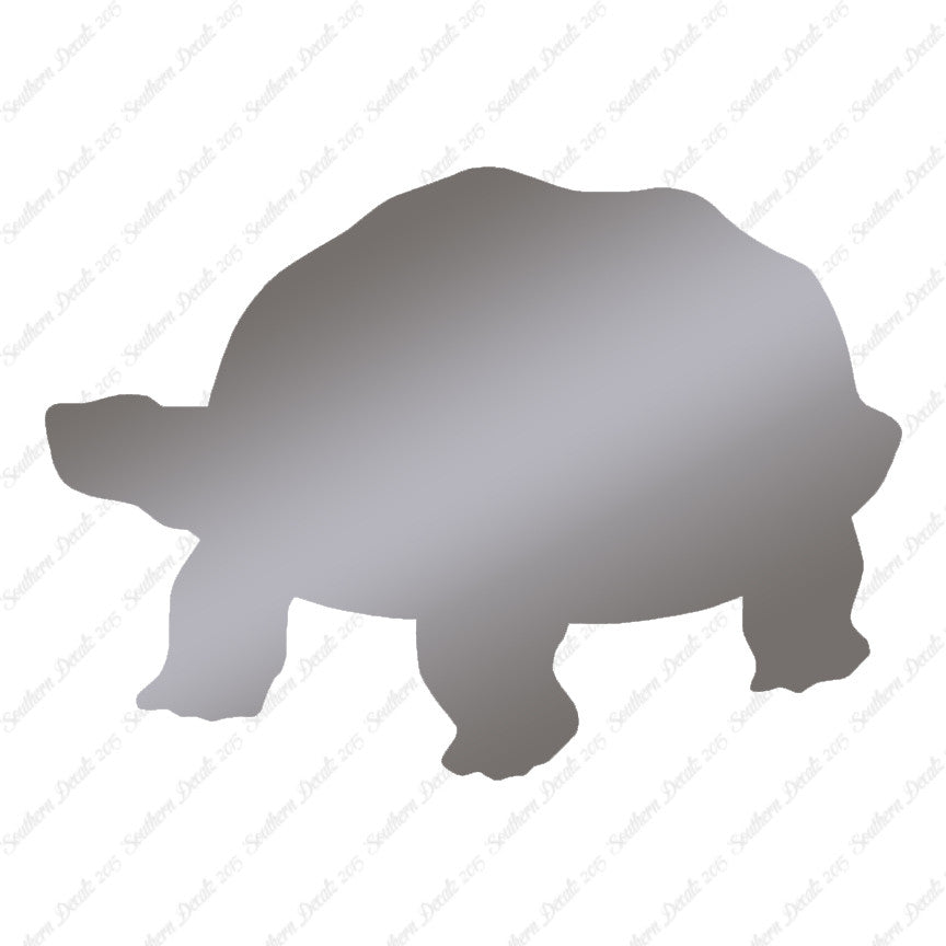 Tortoise Turtle