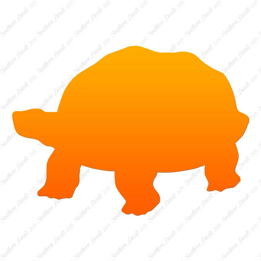 Tortoise Turtle