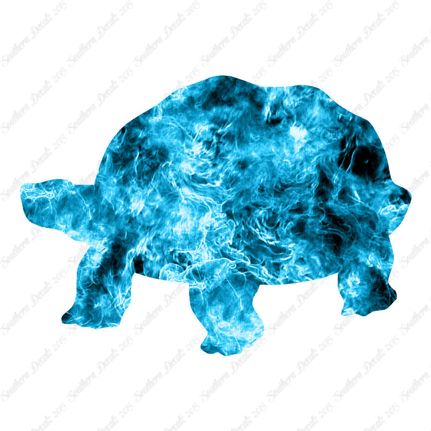 Tortoise Turtle