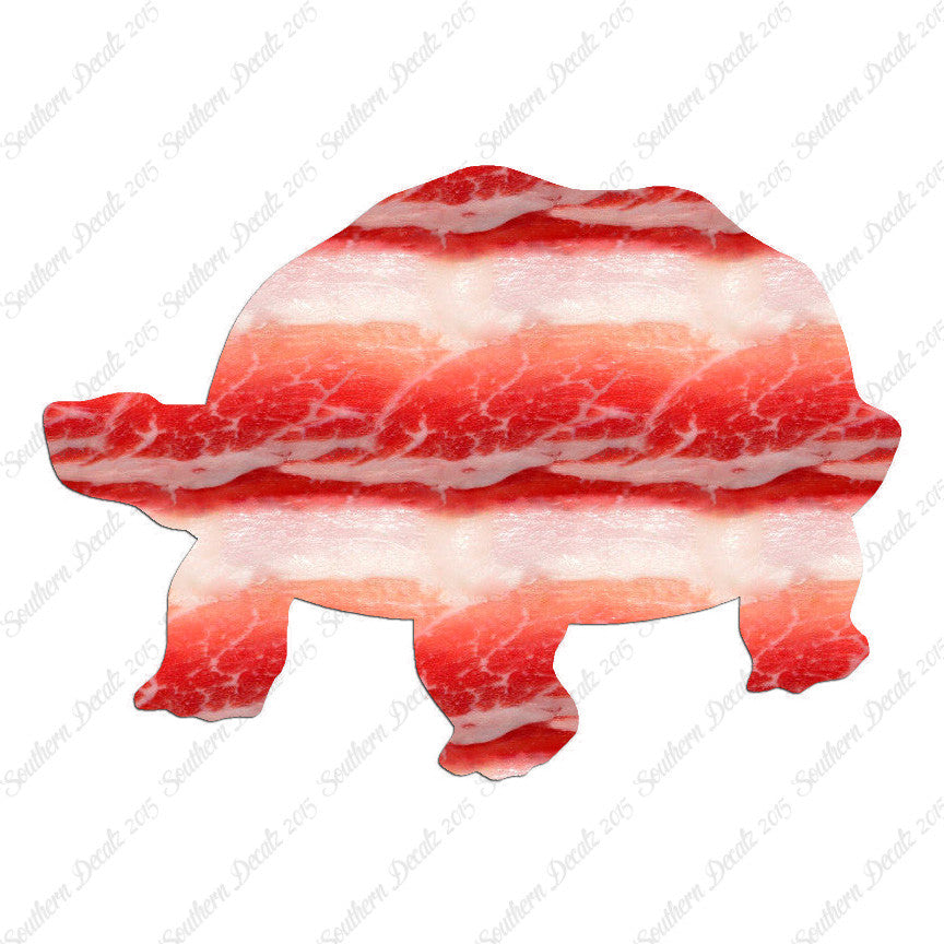 Tortoise Turtle