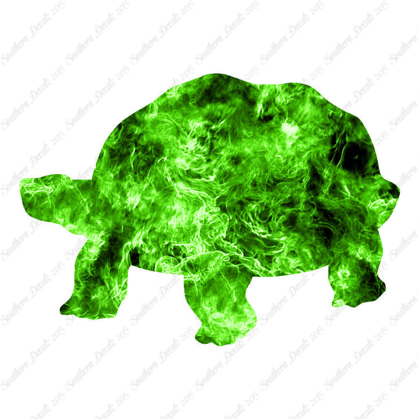 Tortoise Turtle