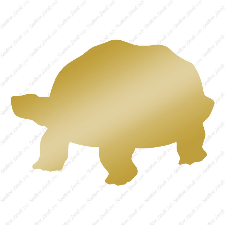 Tortoise Turtle