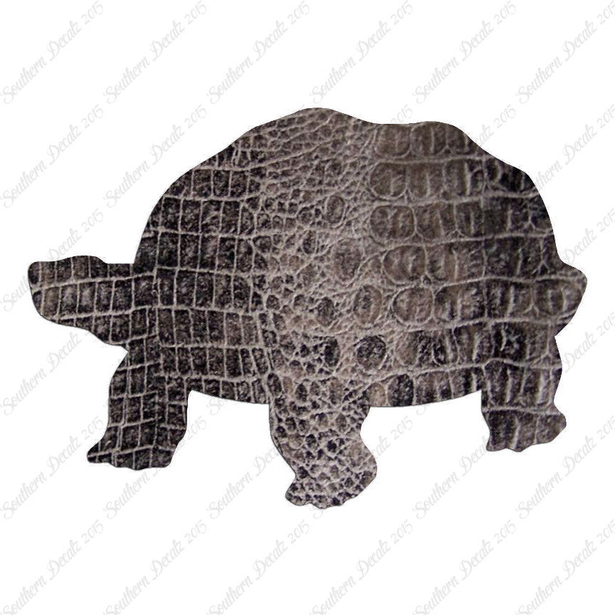Tortoise Turtle